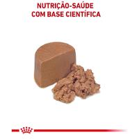 Ração Úmida Royal Canin Lata Veterinary Diet Recovery para Cães e Gatos em Recuperação - 4