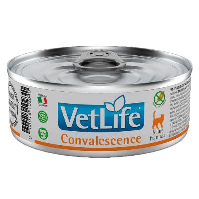 Ração Úmida Para Gato Convalescença Vet Life