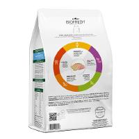 Ração Biofresh Cães Adultos Raças Médias Lombo e Abacaxi