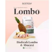 Ração Biofresh Cães Adultos Raças Médias Lombo e Abacaxi - 9
