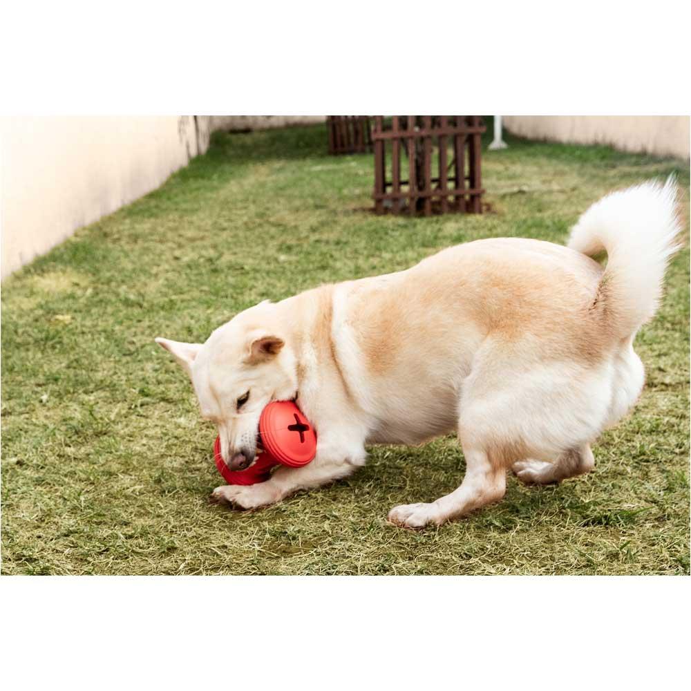 Brinquedo Gira Roller Snanck para Cães GermanHart - 6