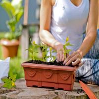 Jardineira Plástica Romano Cerâmica Nutriplan - 3