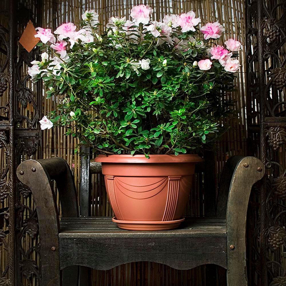 Vaso Plástico Romano Cerâmica Nutriplan - 2