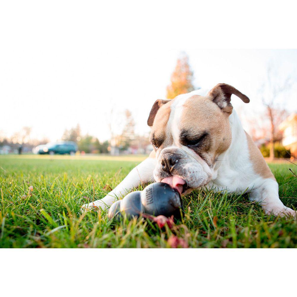 Brinquedo Mordedor com Dispenser para Petisco Preto Kong Extreme - 4