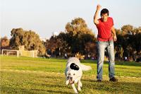 Brinquedo Mordedor com Dispenser para Petisco Preto Kong Extreme - 8