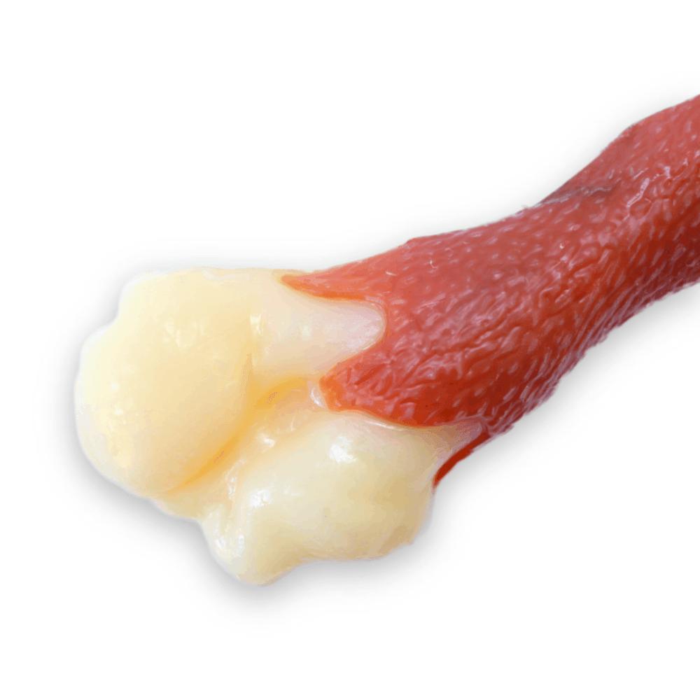 Brinquedo Fêmur Durabone Nylon Odontopet - 3