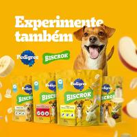 Biscoito Pedigree Marrobone para Cães Adultos Carne - 10