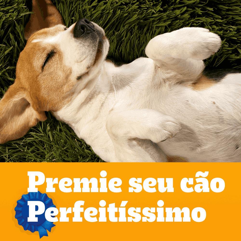 Biscoito Pedigree Marrobone para Cães Adultos Carne - 9