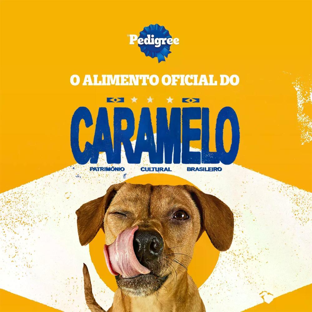 Biscoito Pedigree Marrobone para Cães Adultos Carne - 5