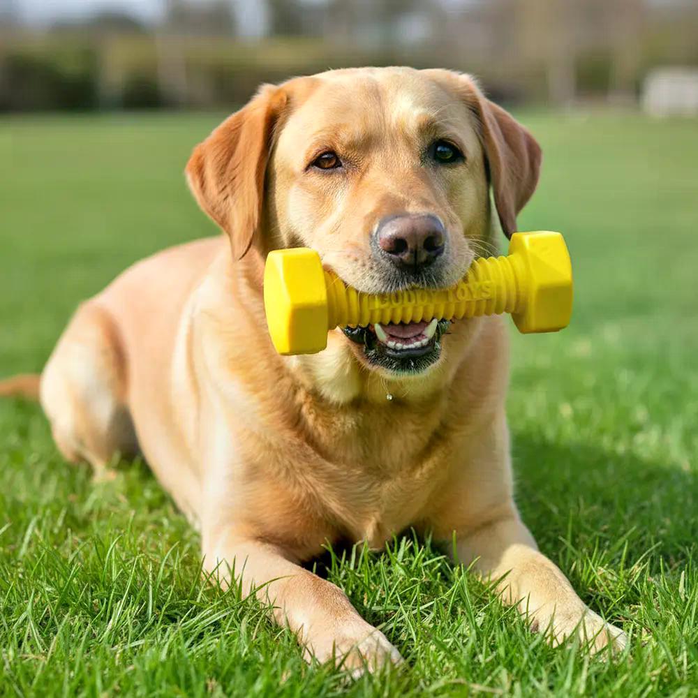 Brinquedo Mordedor Parafuso Nylon Buddy Toys - 6