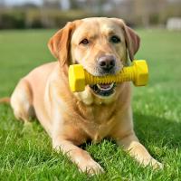 Brinquedo Mordedor Parafuso Nylon Buddy Toys - 6