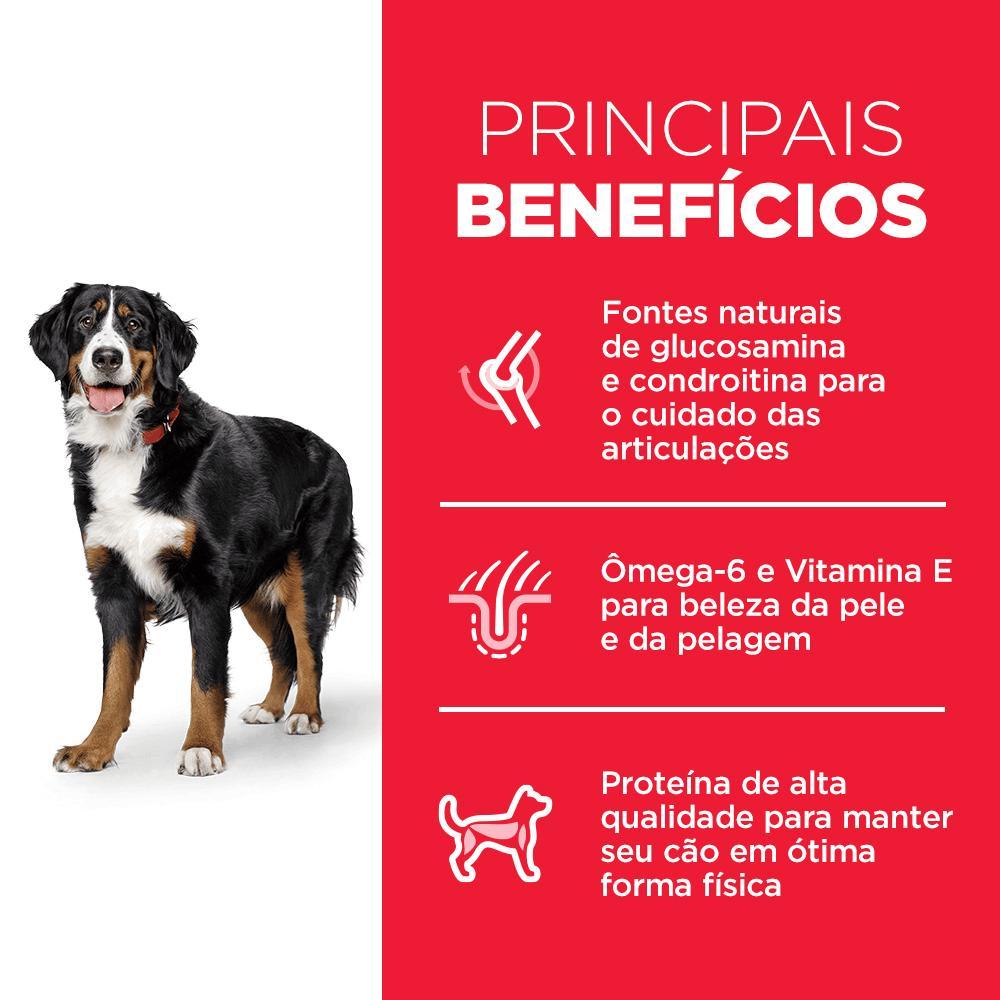 Ração Hill's Science Diet Cães Adultos Raças Grandes Sabor Frango - 5
