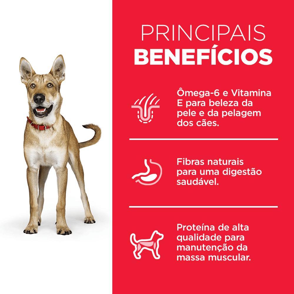 Ração Hill's Science Diet para Cães Adultos Sabor Frango - 5