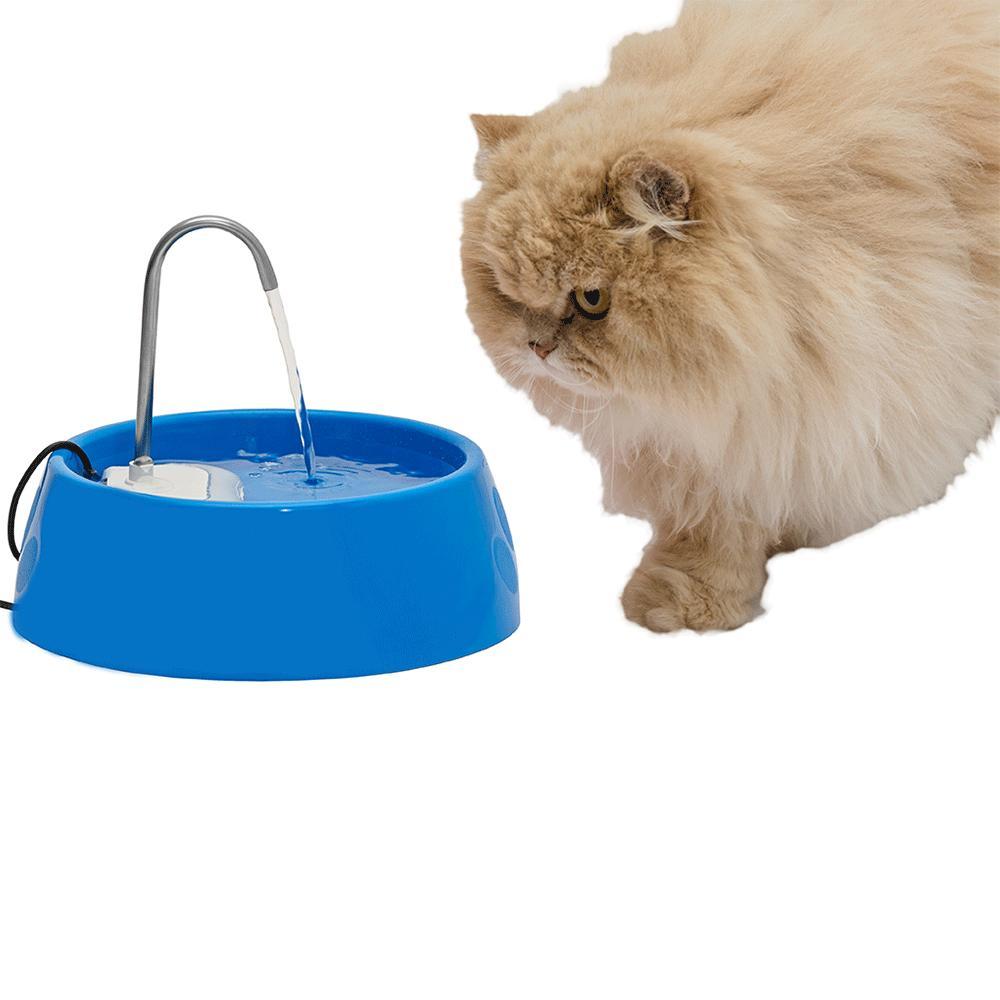 Fonte Bebedouro Aqua Mini Amicus Bivolt Azul - 5