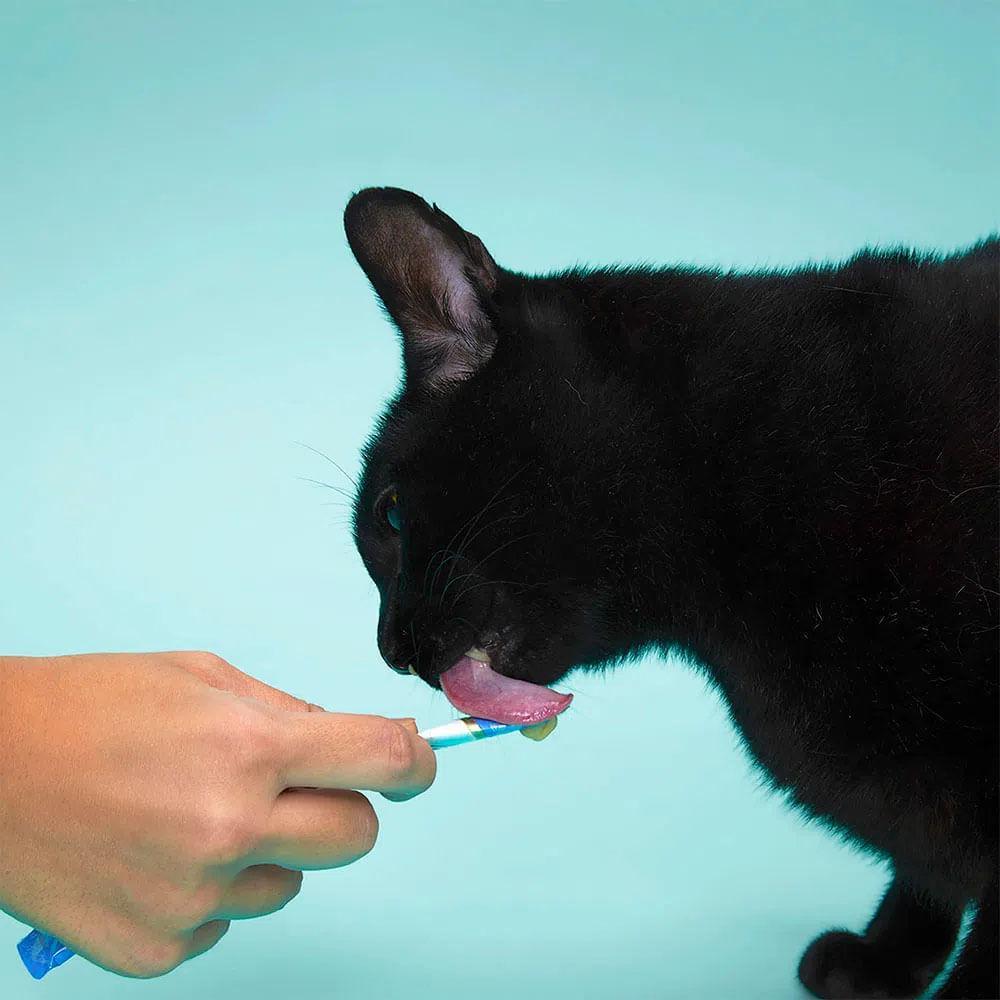 Petisco Churu Atum e Salmão para Gatos - 5