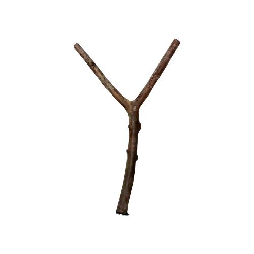 Poleiro Natural para Pássaros Kakatoo