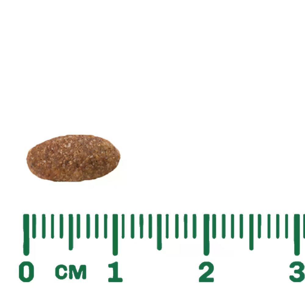 Ração Guabi Natural Gatos Adultos Castrados Salmão e Cevada - 10