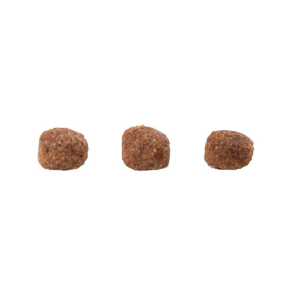 Ração Guabi Natural Cães Filhotes Raças Mini e Pequenas Frango e Arroz Integral - 4