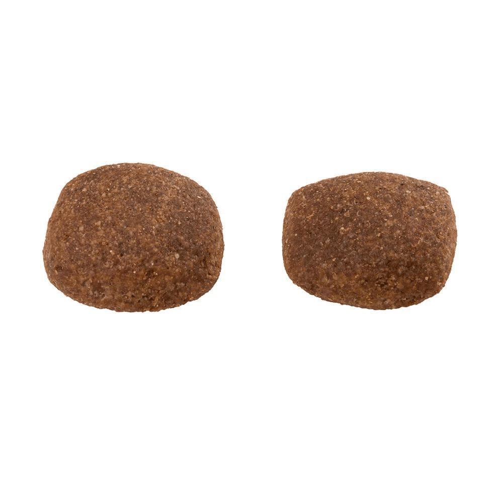 Ração Guabi Natural Cães Adultos Grandes Frango e Arroz - 4