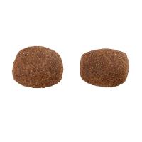 Ração Guabi Natural Cães Adultos Grandes Frango e Arroz