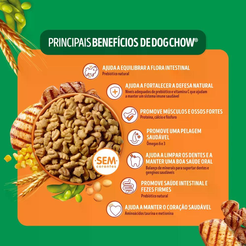 Ração Dog Chow Cães Adultos Minis e Pequenos Carne, Frango e Arroz - 9