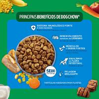 Ração Dog Chow Cães Filhotes Médios e Grandes Carne, Frango e Arroz