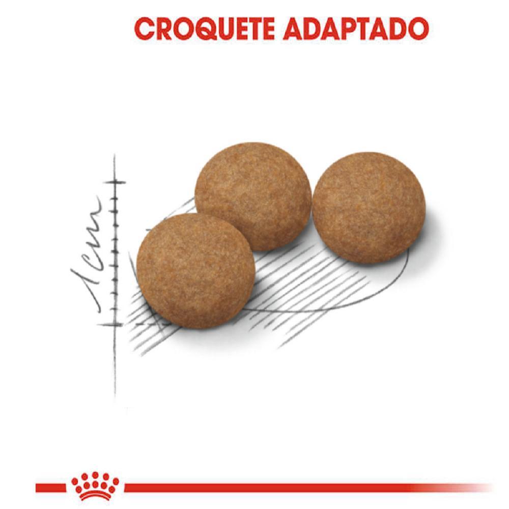 Ração Royal Canin para Gatos Adultos Castrados Acima de 12 anos - 6