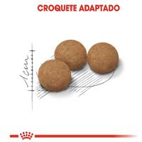 Ração Royal Canin para Gatos Adultos Castrados Acima de 12 anos - 5