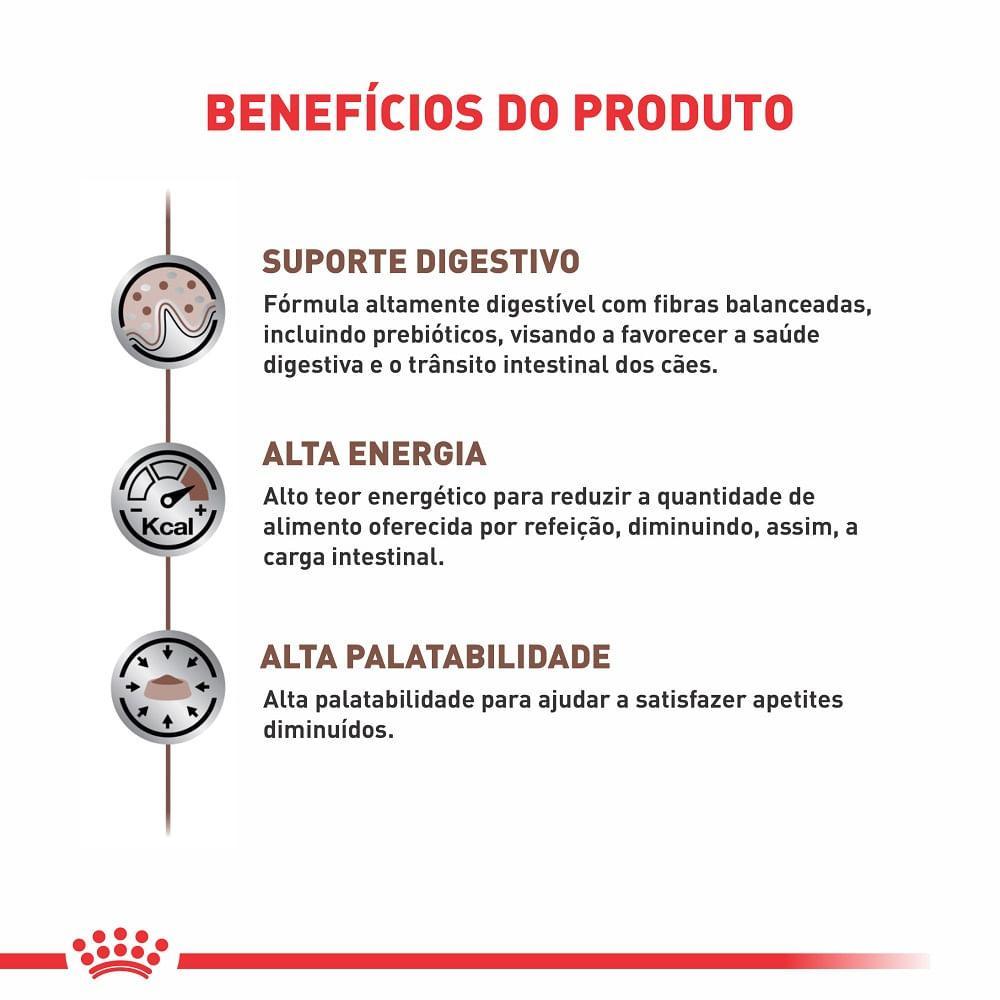 Ração Royal Canin Veterinary Diet Gastrointestinal para Cães Adultos com Sensibilidades Gastrointestinais - 2