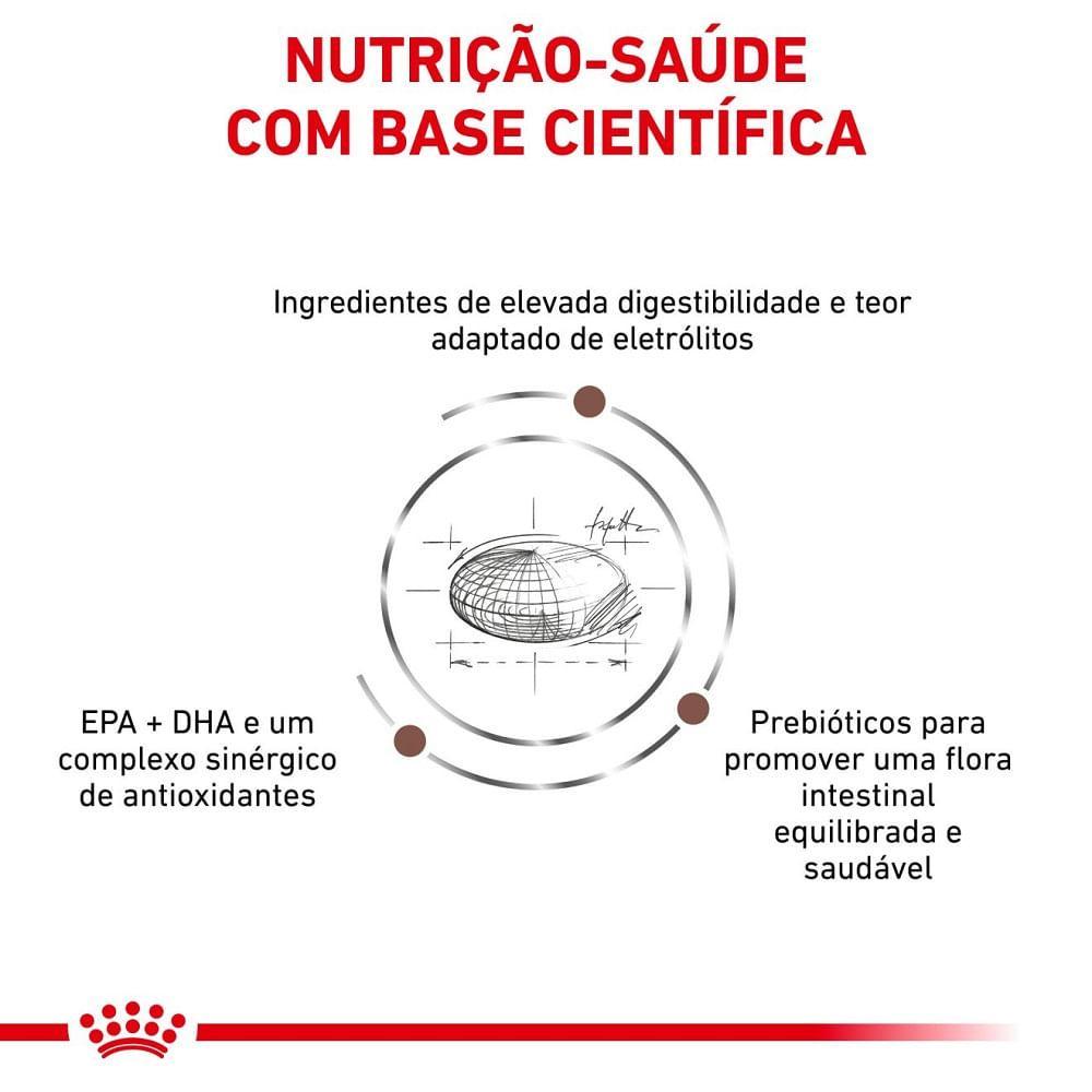 Ração Royal Canin Veterinary Diet Gastrointestinal para Cães Adultos com Sensibilidades Gastrointestinais - 3
