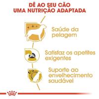 Ração Royal Canin Yorkshire Cães Adultos - 2