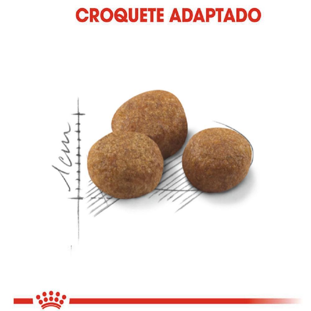 Ração Royal Canin Castrados 7+ Gatos Adultos - 4