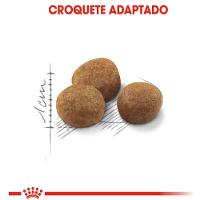 Ração Royal Canin Castrados 7+ Gatos Adultos - 4