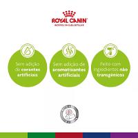 Ração Royal Canin Exigent para Gatos Adultos com Paladar Exigente - 4