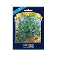 Sementes de Hortelã - Menta Blue Line Topseed Garden - 1