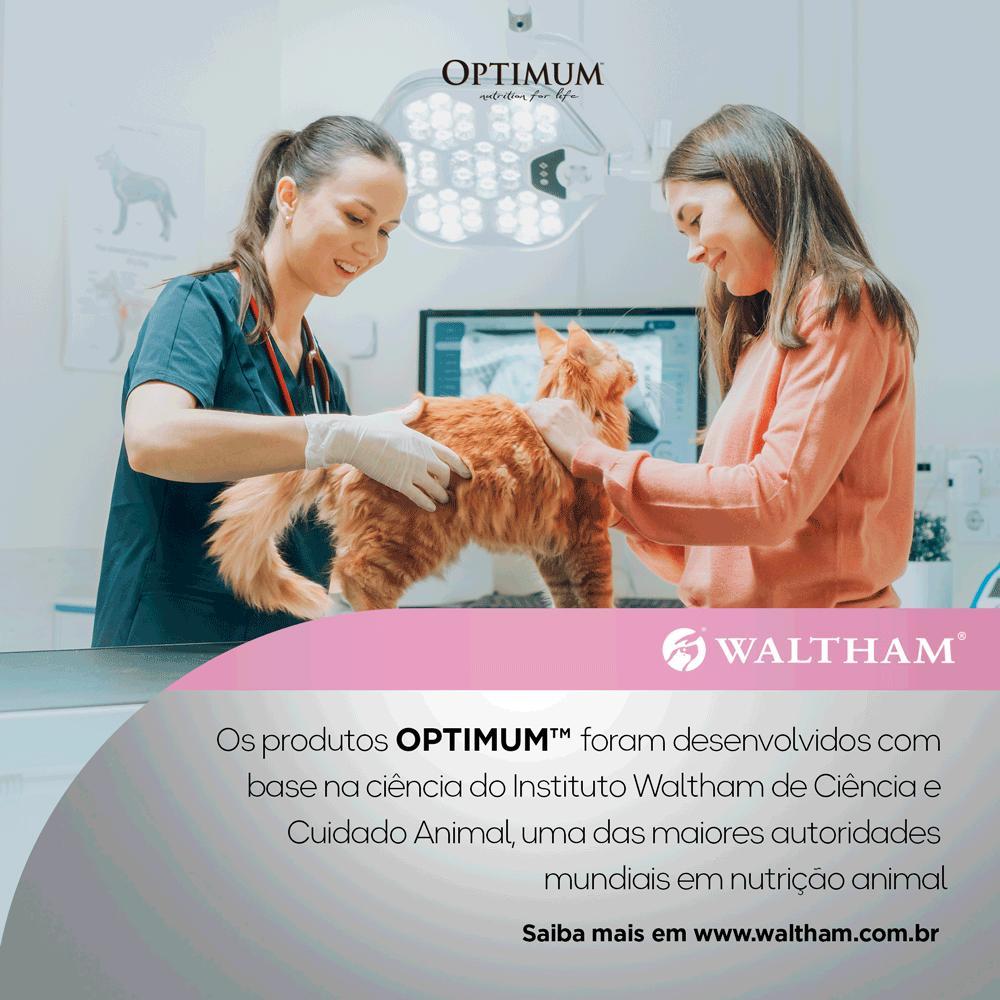 Ração Úmida Optimum Sachê Gatos Filhotes Frango - 9