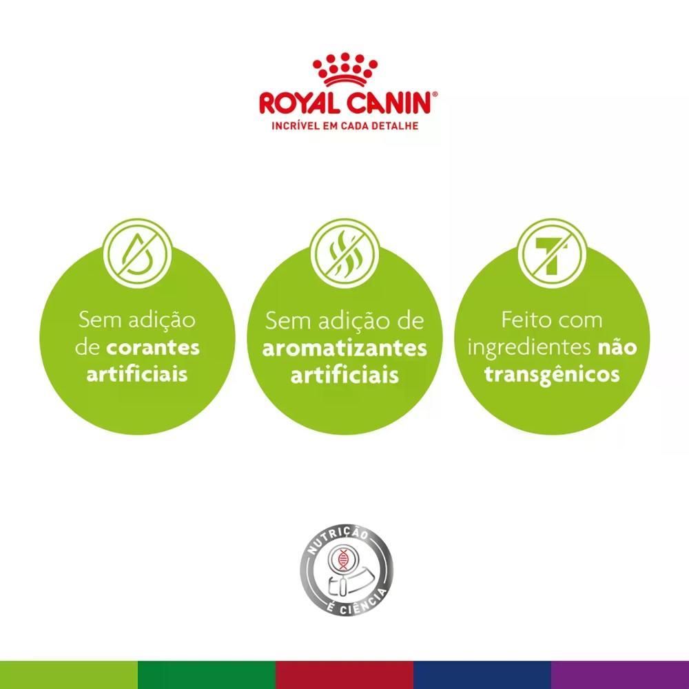 Ração Royal Canin Exigent para Gatos Adultos com Paladar Exigente - 4
