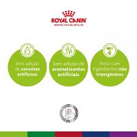 Ração Royal Canin Exigent para Gatos Adultos com Paladar Exigente - 4