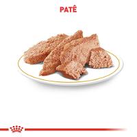 Ração Úmida Royal Canin Diabetic Cães Adultos - 3