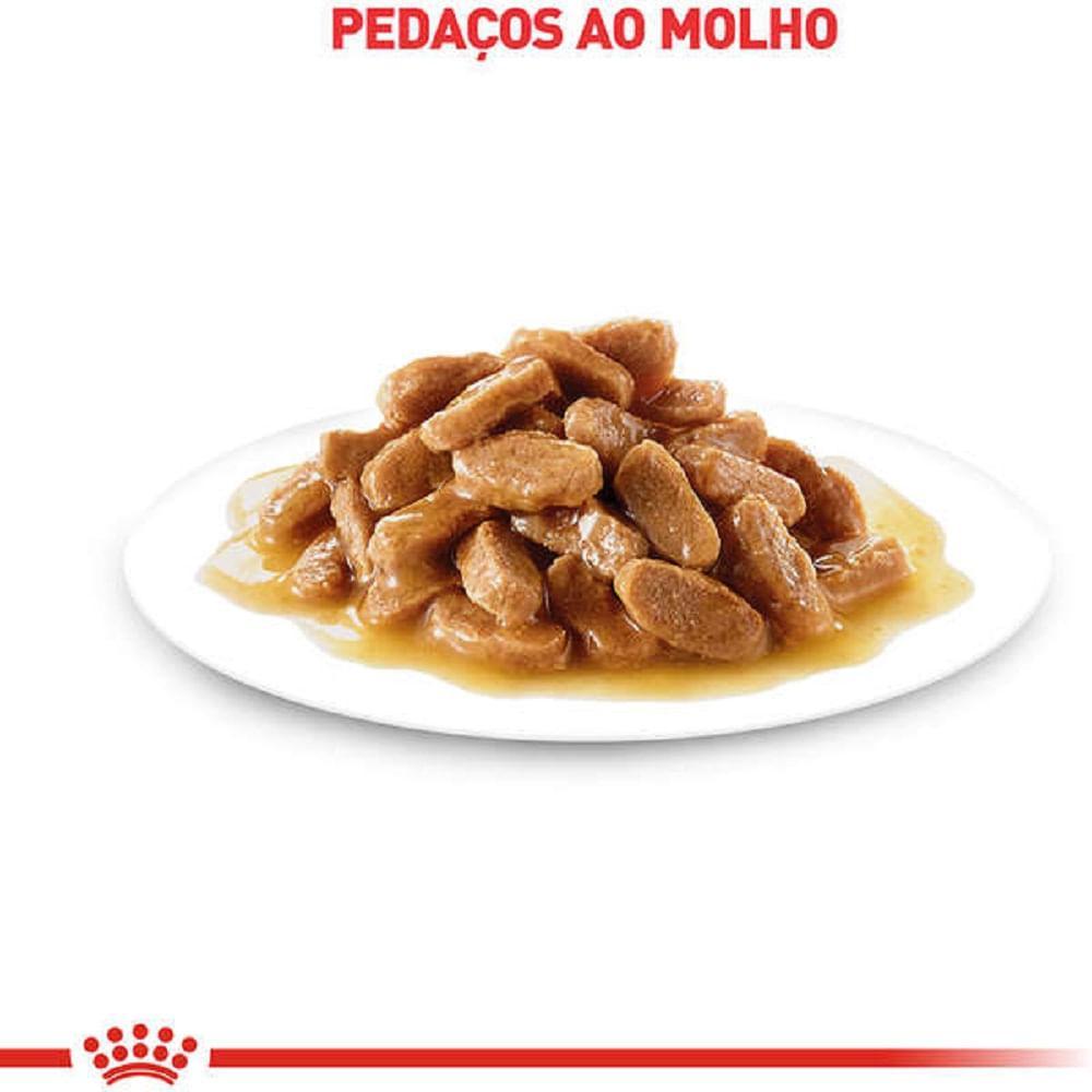 Ração Úmida Royal Canin Gatos Castrados Adultos - 3
