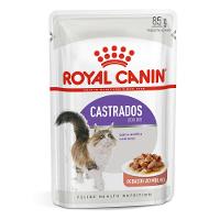 Ração Úmida Royal Canin Gatos Castrados Adultos - 1