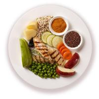 Ração Úmida Pet Delícia Cães Filhotes Papinha de Frango