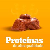 Ração Úmida Pedigree Sachê Cães Filhotes Carne ao Molho - 5