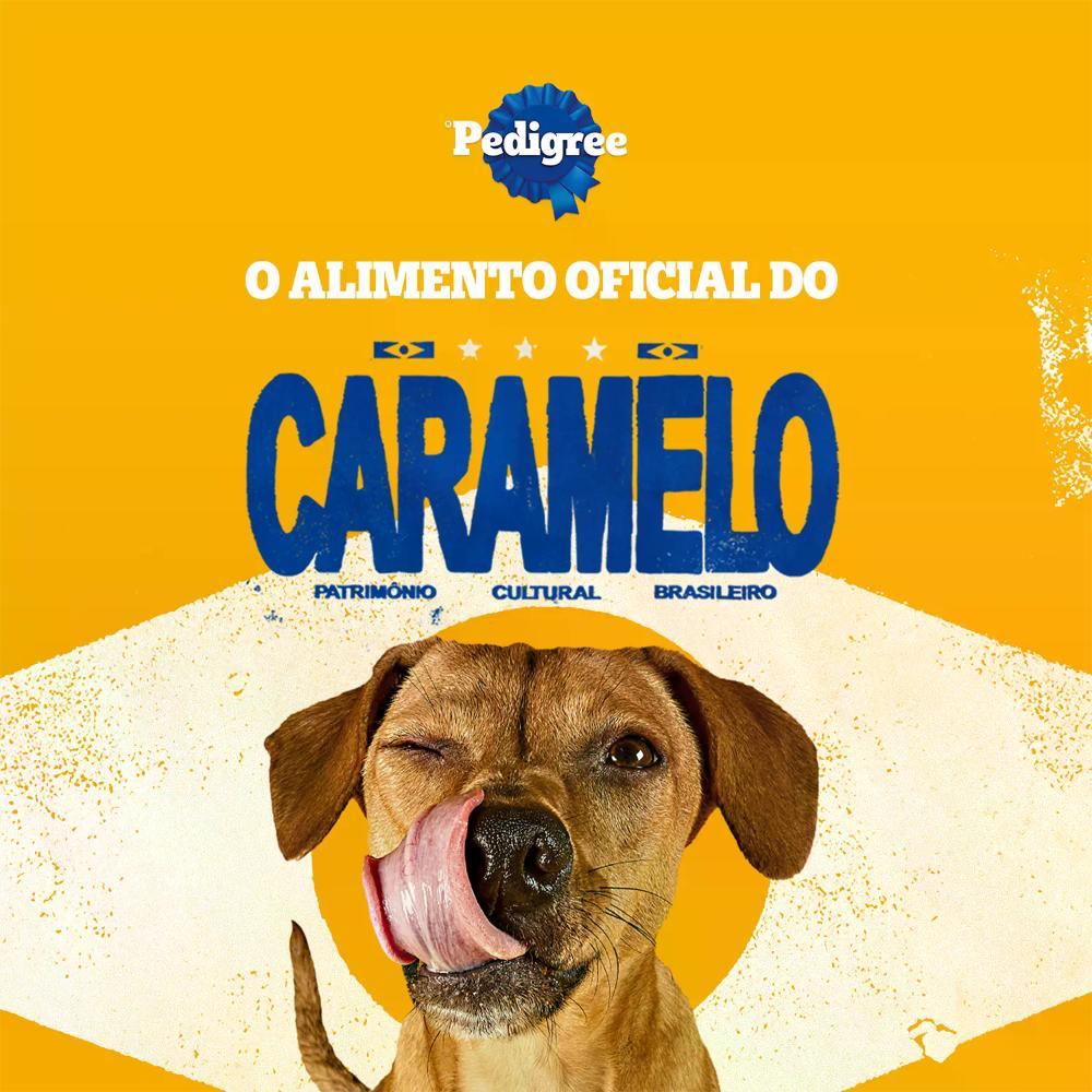 Biscoito Pedigree Biscrok para Cães Adultos Raças Pequenas Leite - 5