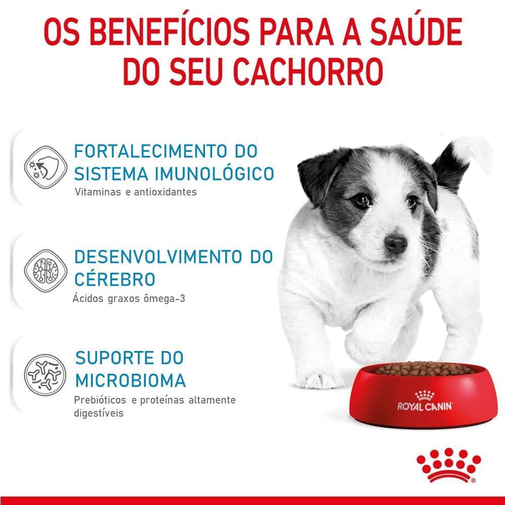 Ração Royal Canin Mini Puppy Cães Filhotes - 6