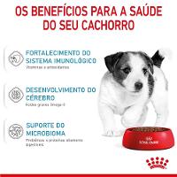 Ração Royal Canin Mini Puppy Cães Filhotes - 5