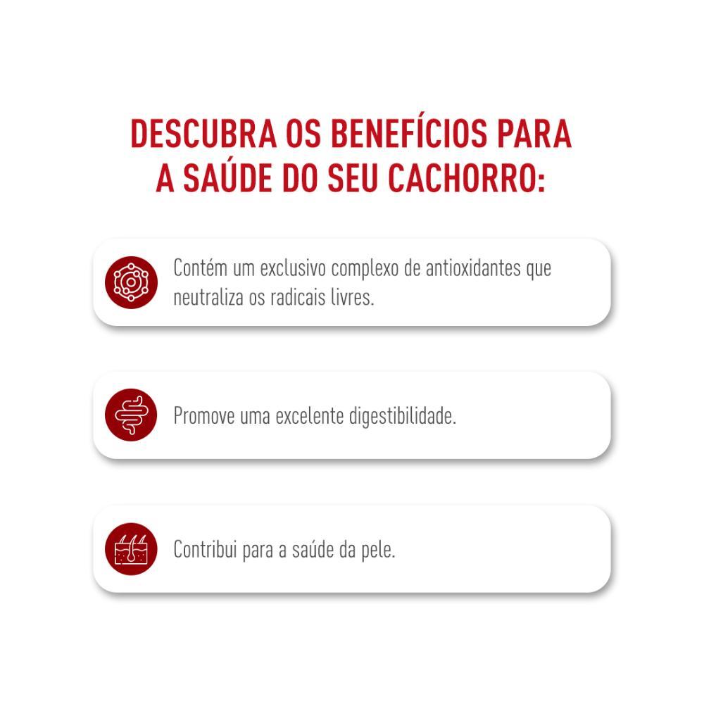 Ração Royal Canin Medium Adult para Cães Adultos Porte Médio - 2