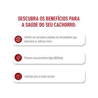 Ração Royal Canin Medium Adult para Cães Adultos Porte Médio - 2