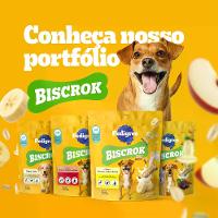 Biscoito Pedigree Biscrok para Cães Adultos Raças Grandes Leite - 10