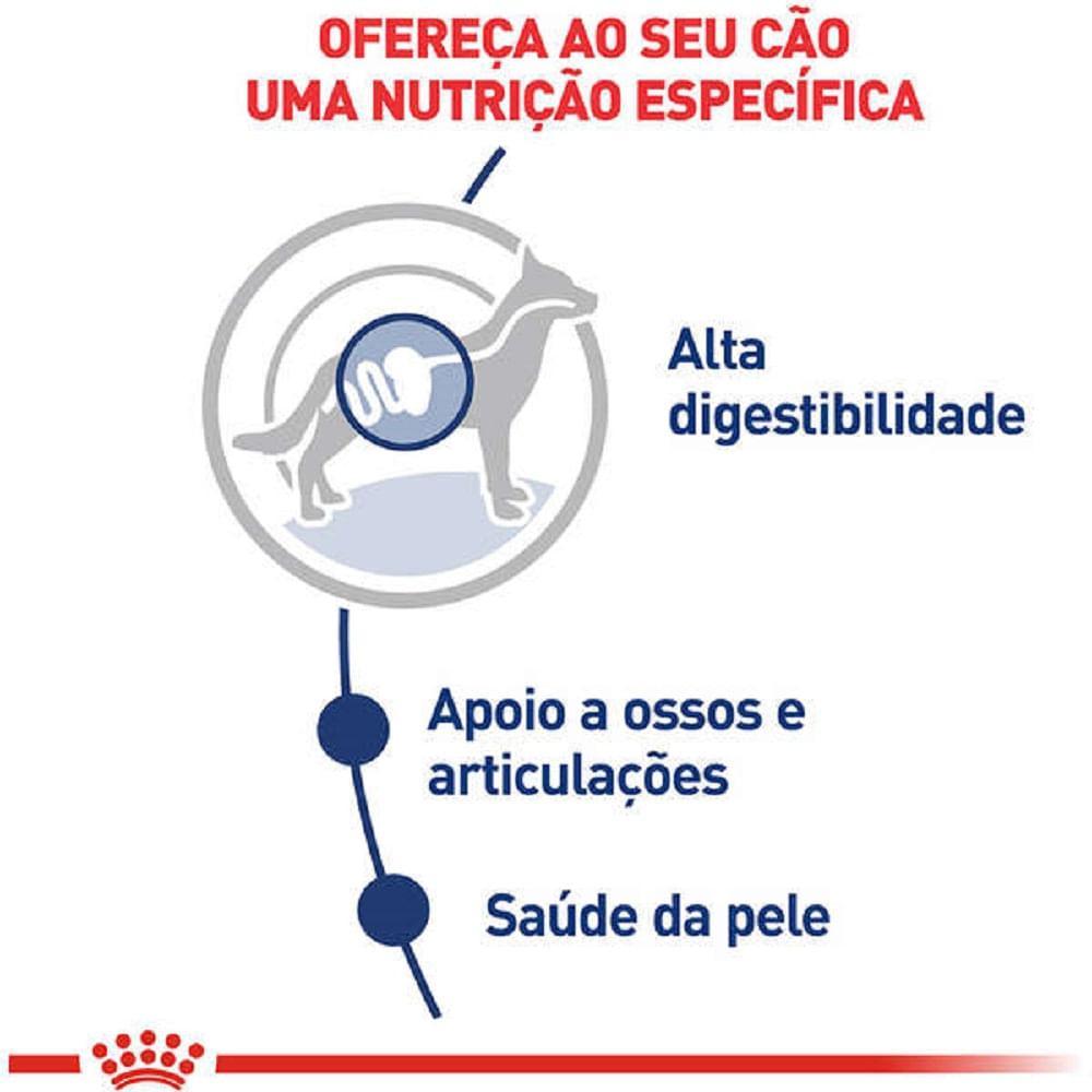Ração Úmida Royal Canin Sachê Maxi Adult Cães Adultos - 3